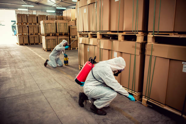 Best Cockroach Control Services  in Dysart, IA
