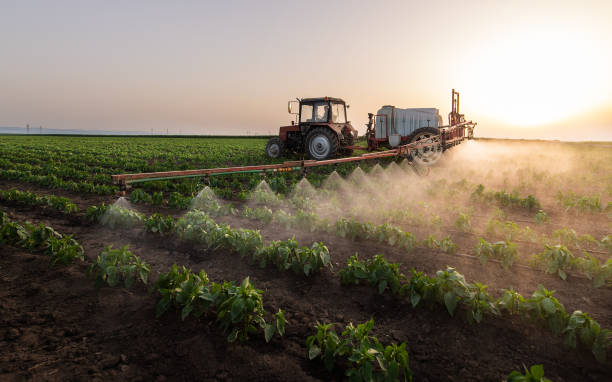  Dysart, IA Pest Control Pros