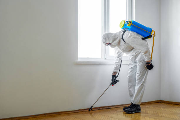 Best Pest Inspection Near Me  in Dysart, IA