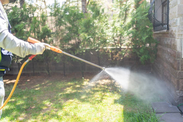 Best Affordable Pest Control Services  in Dysart, IA