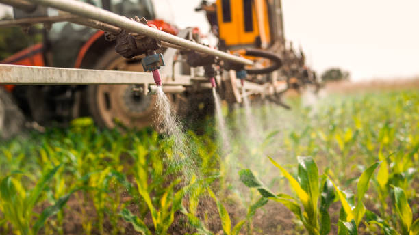 Best Insect Control  in Dysart, IA